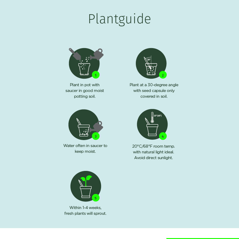 Planting guide